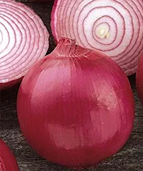 金鄉(xiāng)優(yōu)質(zhì)洋蔥