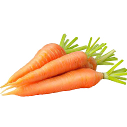 胡蘿卜